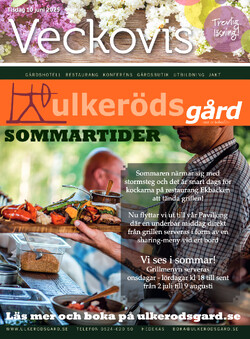 Tidning